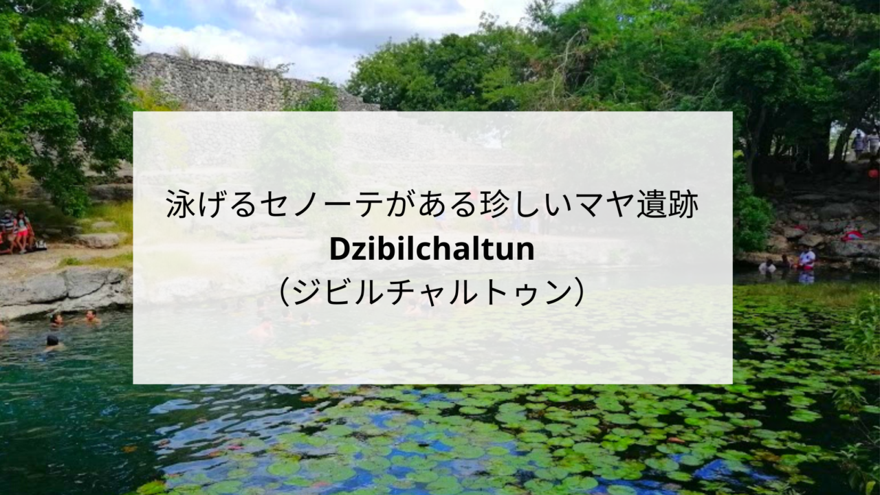 泳げるセノーテがある珍しいマヤ遺跡 Dzibilchaltun ジビルチャルトゥン