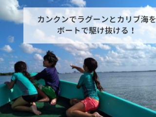 恐怖 頭が かさぶた に 覆いつくされ 髪の毛が大量に抜けハゲた話