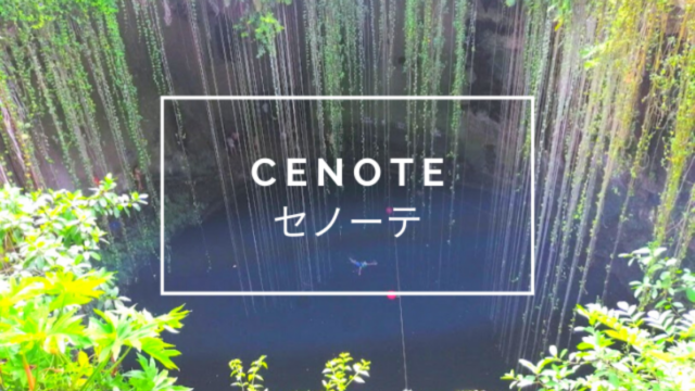 恐怖 頭が かさぶた に 覆いつくされ 髪の毛が大量に抜けハゲた話 Cancundays カンクンデイズ