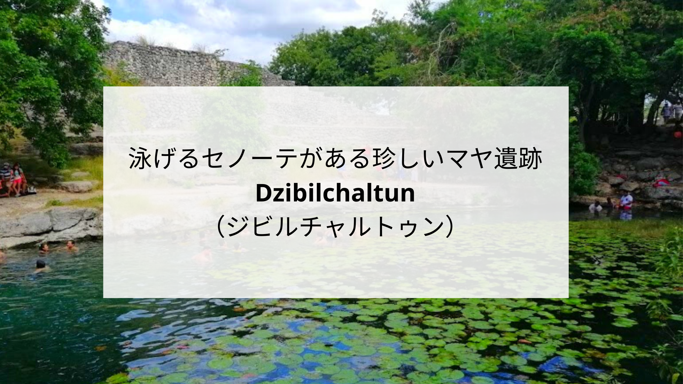 泳げるセノーテがある珍しいマヤ遺跡「Dzibilchaltun（ジビルチャルトゥン）」｜カンクンデイズ